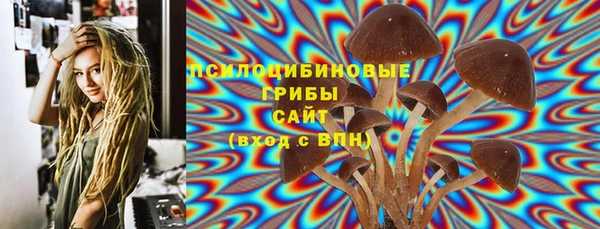 тгк Алзамай