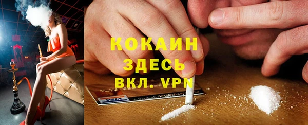 прущие грибы Алексин